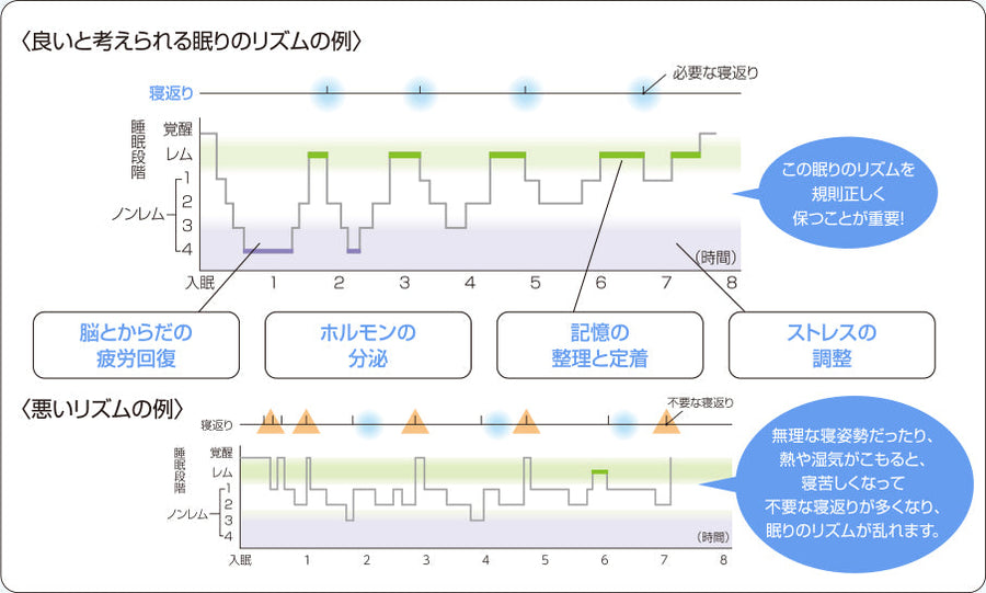 レム睡眠・ノンレム睡眠とは？睡眠の仕組みと質の高い眠りのポイントをわかりやすく解説