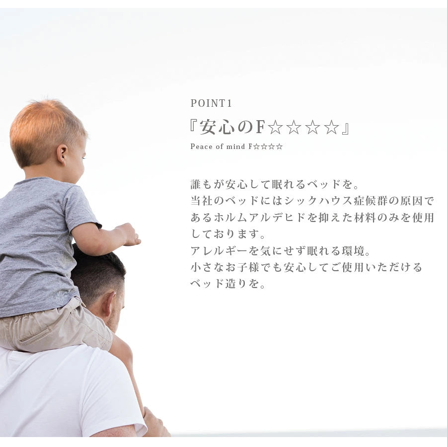 【期間限定送料無料】ASLEEP チップスII在庫限り