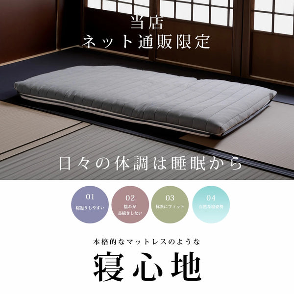 ASLEEP(アスリープ) ファインレボ三つ折りマットレス DF8201