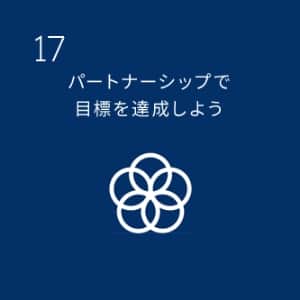 SDGs目標17